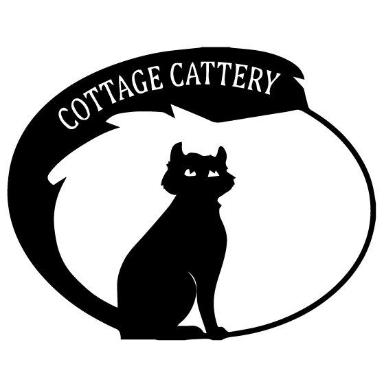 Friendly Cottage Cattery Middlewich Servicing Crewe Winsford